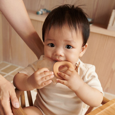 LIEWOOD jucărie de dentiție răcoritoare Rita elefant set 2 buc. Pale tuscany / Sandy