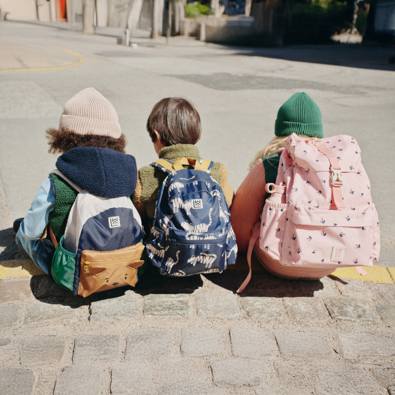 LIEWOOD rucsac Andreas Bear Classic navy multi mix
