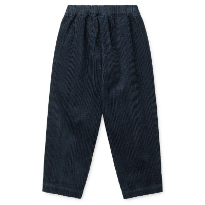LIEWOOD BORRIS Pantaloni din velur reiat pentru copii Classic navy