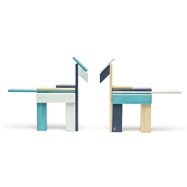Set magnetic de construcție Tegu Blues 24 piese în formă de căței